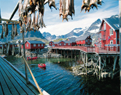 Lofoten