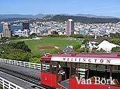 Wellington